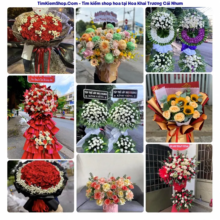 Hoa Tươi Thủy Nguyễn - Hoa Tươi Cái Nhum
