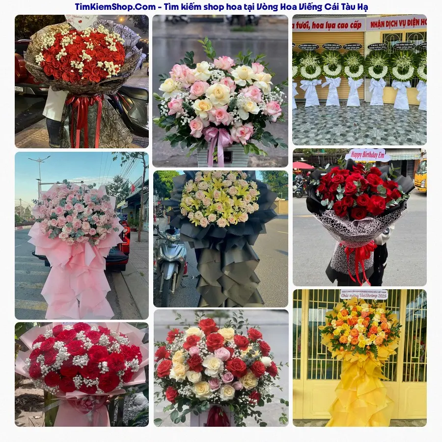 Hoa Tươi Thủy Nguyễn - Hoa Tươi Cái Tàu Hạ
