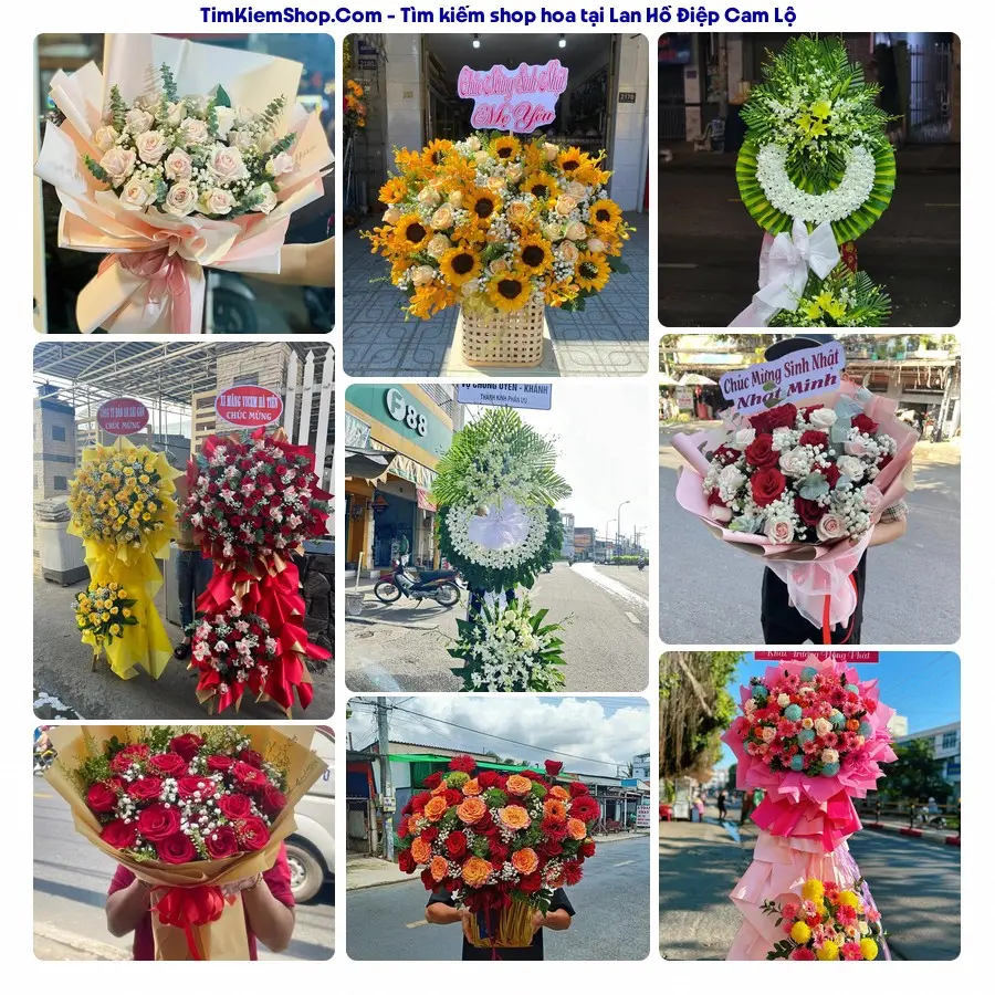 Hoa Tươi Thủy Nguyễn - Hoa Tươi Cam Lộ