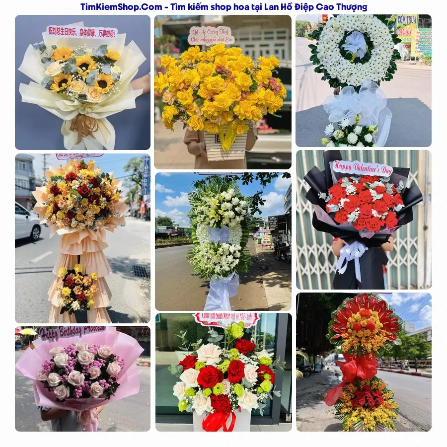 Hoa Tươi Thủy Nguyễn - Hoa Tươi Cao Thượng