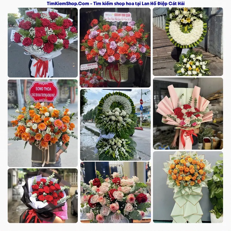 Hoa Tươi Thủy Nguyễn - Hoa Tươi Cát Hải