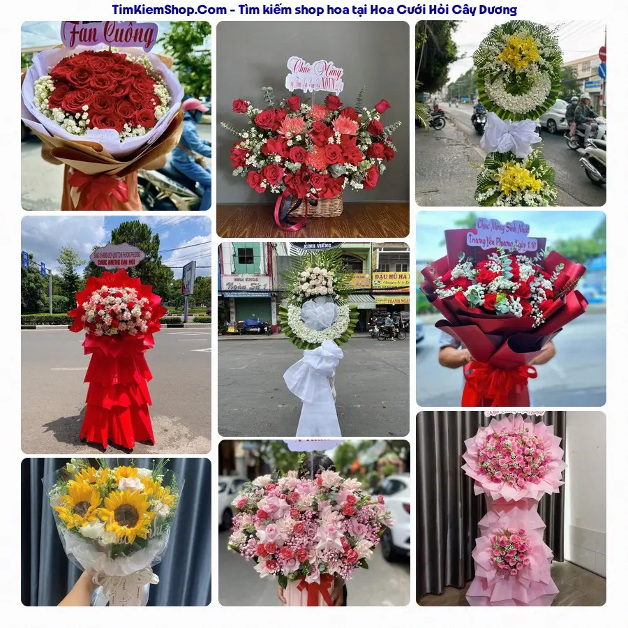 Hoa Tươi Thủy Nguyễn - Hoa Tươi Cây Dương