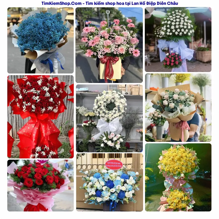 Hoa Tươi Thủy Nguyễn - Hoa Tươi Diễn Châu