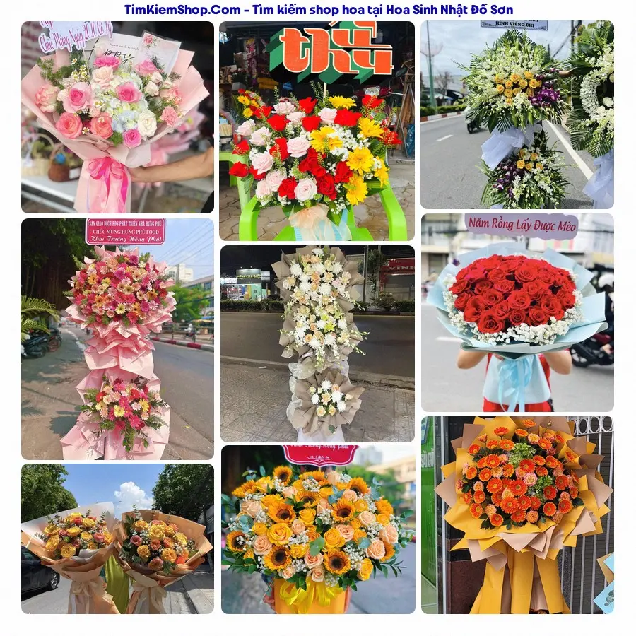 Hoa Tươi Thủy Nguyễn - Hoa Tươi Đồ Sơn Hải Phòng