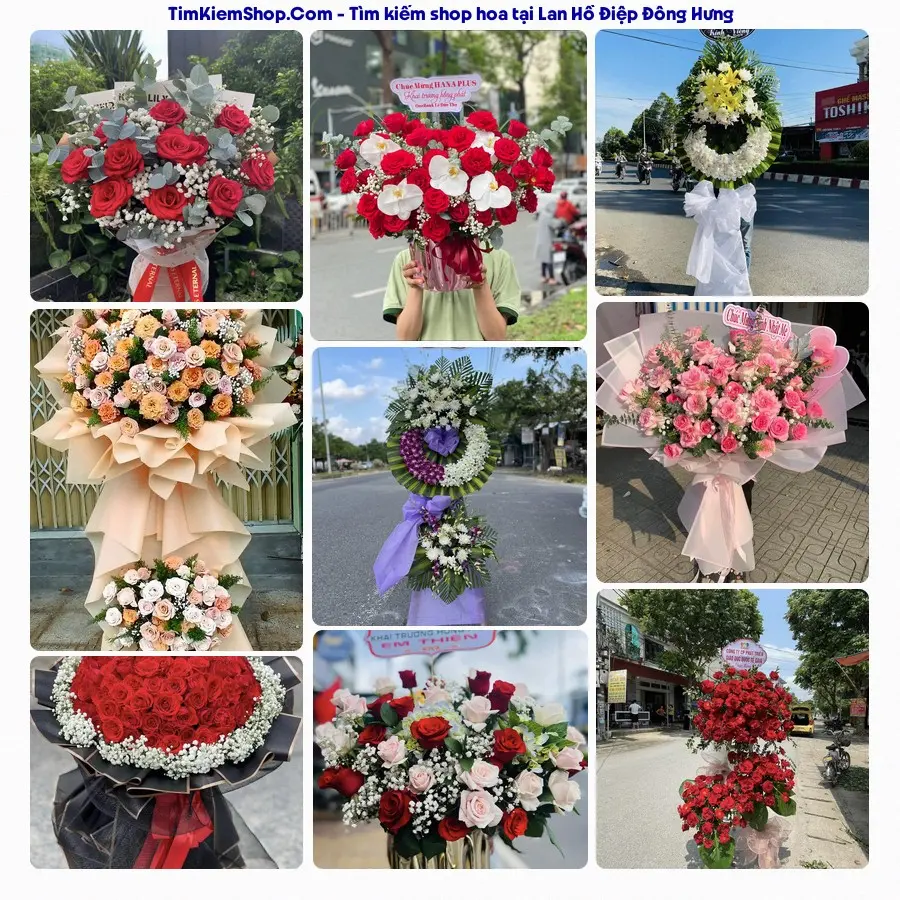 Hoa Tươi Thủy Nguyễn - Hoa Tươi Đông Hưng