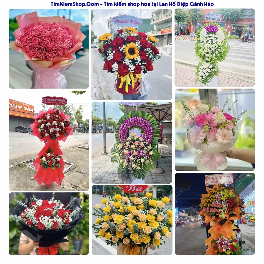 Hoa Tươi Thủy Nguyễn - Hoa Tươi Gành Hào