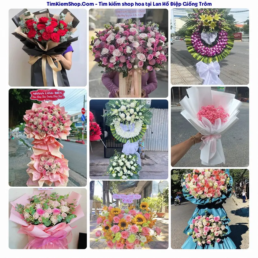 Hoa Tươi Thủy Nguyễn - Hoa Tươi Giồng Trôm