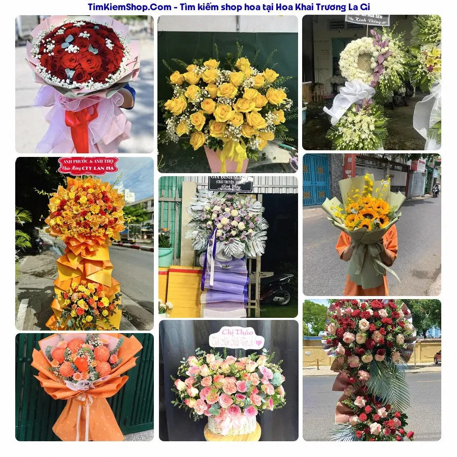 Hoa Tươi Thủy Nguyễn - Hoa Tươi La Gi