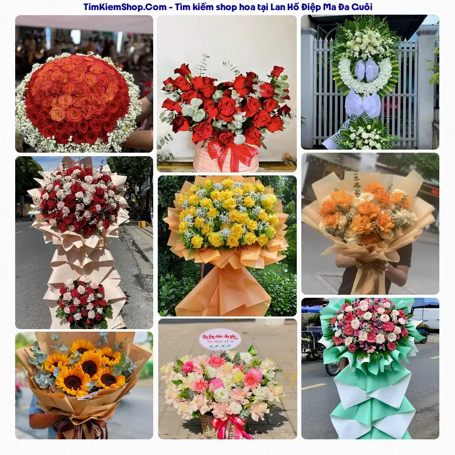 Hoa Tươi Thủy Nguyễn - Hoa Tươi Ma Đa Guôi