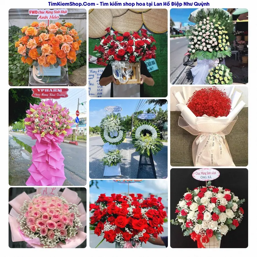 Hoa Tươi Thủy Nguyễn - Hoa Tươi Như Quỳnh