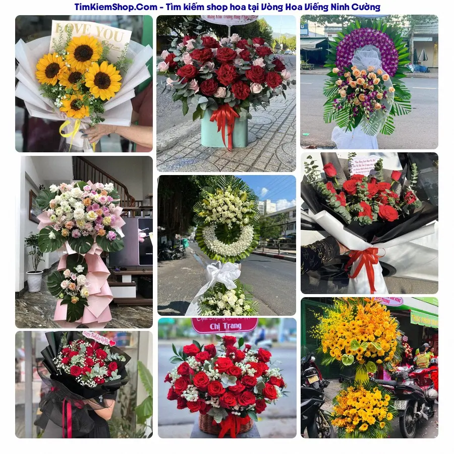 Hoa Tươi Thủy Nguyễn - Hoa Tươi Ninh Cường
