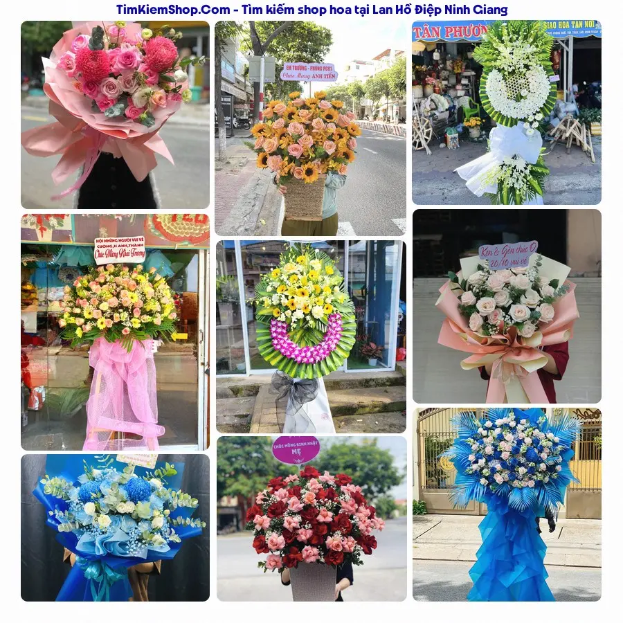Hoa Tươi Thủy Nguyễn - Hoa Tươi Ninh Giang