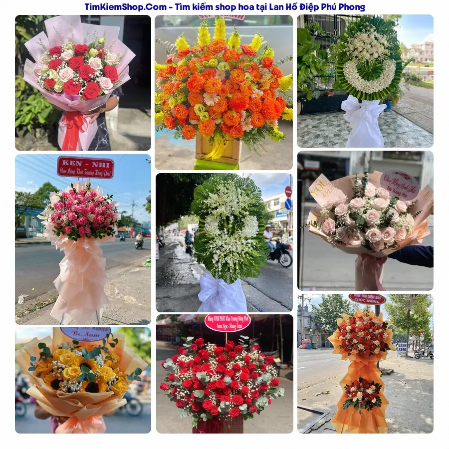 Hoa Tươi Thủy Nguyễn - Hoa Tươi Phú Phong