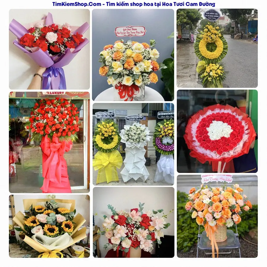Hoa Tươi Thủy Nguyễn - Hoa Tươi Phường Cam Đường