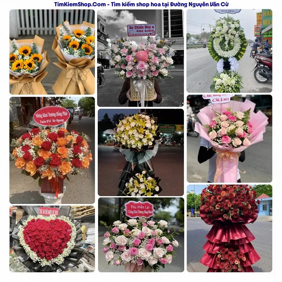 Hoa Tươi Thủy Nguyễn - Hoa Tươi Phường Tân Lập