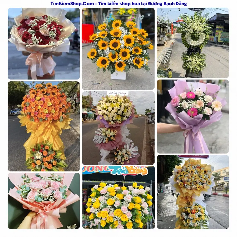 Hoa Tươi Thủy Nguyễn - Hoa Tươi Phường Tuy Hòa