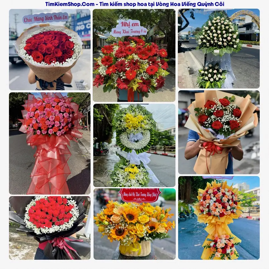Hoa Tươi Thủy Nguyễn - Hoa Tươi Quỳnh Côi