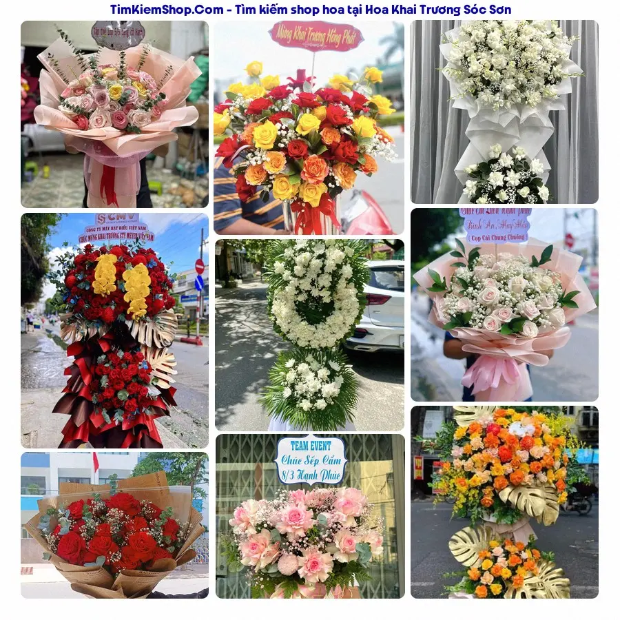 Hoa Tươi Thủy Nguyễn - Hoa Tươi Sóc Sơn