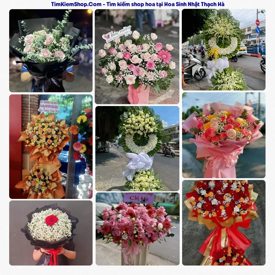 Hoa Tươi Thủy Nguyễn - Hoa Tươi Thạch Hà
