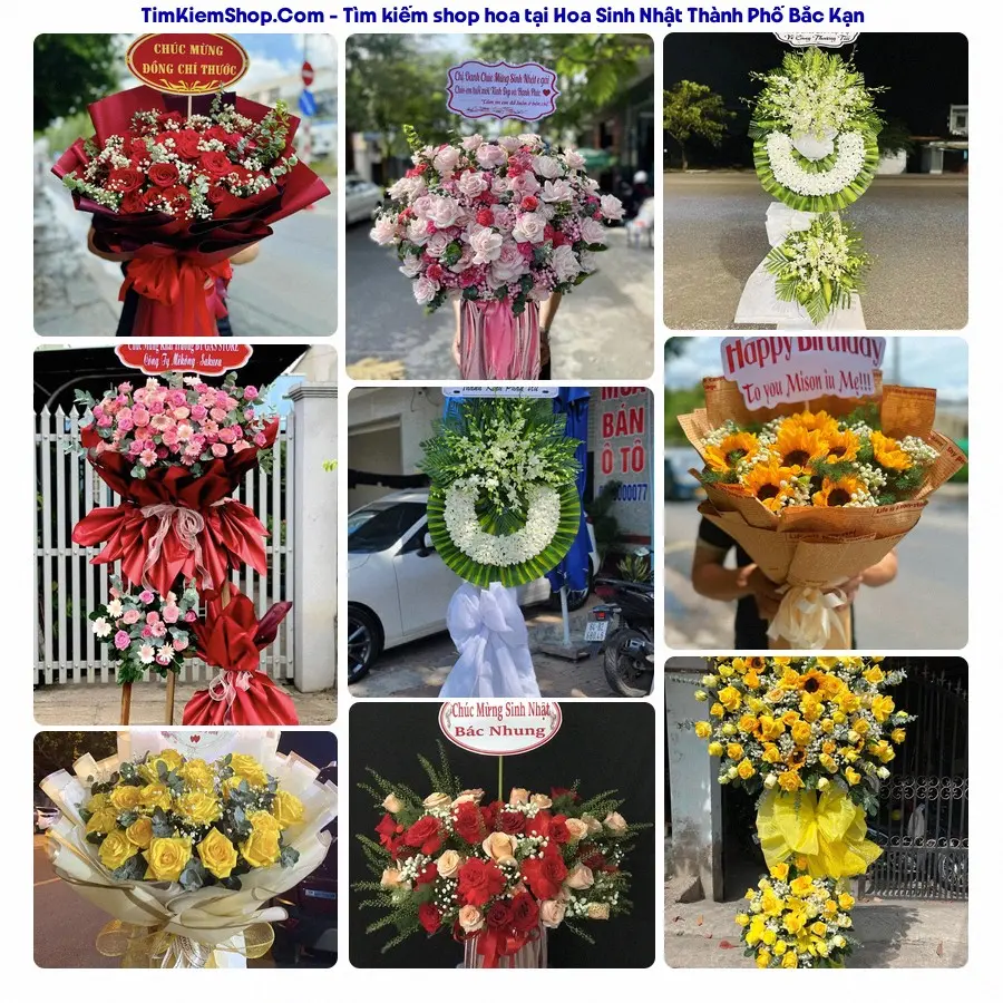 Hoa Tươi Thủy Nguyễn - Hoa Tươi Thành Phố Bắc Kạn