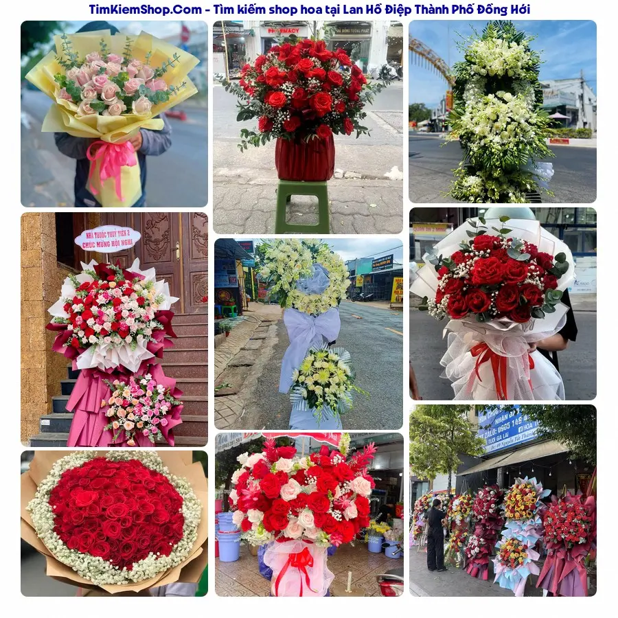 Hoa Tươi Thủy Nguyễn - Hoa Tươi Thành Phố Đồng Hới