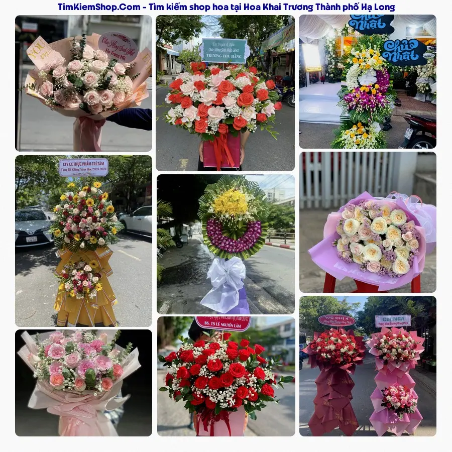 Hoa Tươi Thủy Nguyễn - Hoa Tươi Thành phố Hạ Long