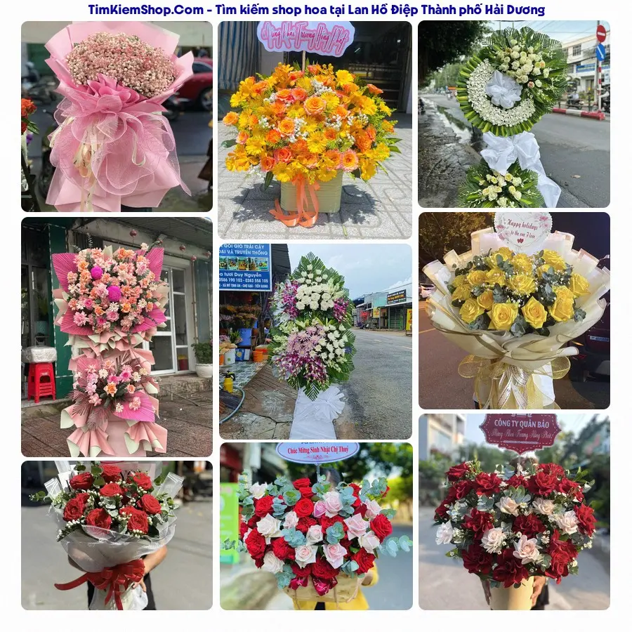 Hoa Tươi Thủy Nguyễn - Hoa Tươi Thành phố Hải Dương
