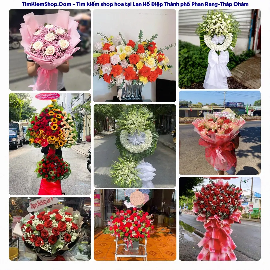 Hoa Tươi Thủy Nguyễn - Hoa Tươi Thành phố Phan Rang-Tháp Chàm