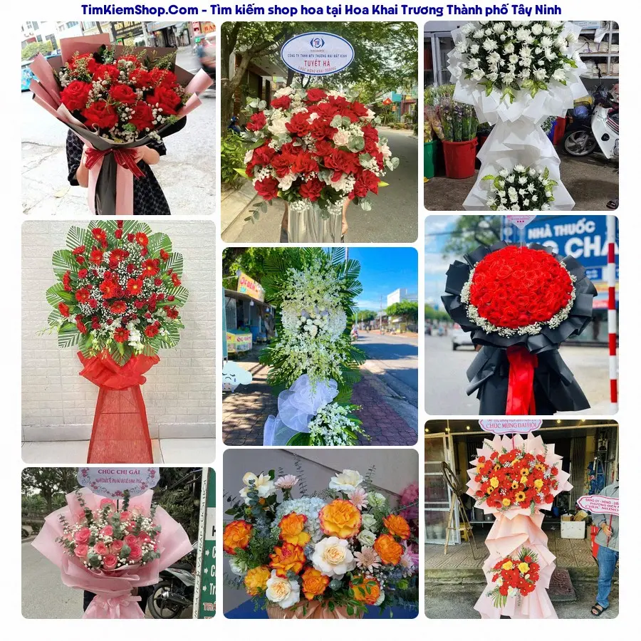 Hoa Tươi Thủy Nguyễn - Hoa Tươi Thành phố Tây Ninh