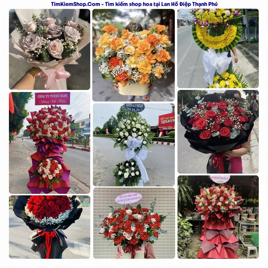 Hoa Tươi Thủy Nguyễn - Hoa Tươi Thạnh Phú