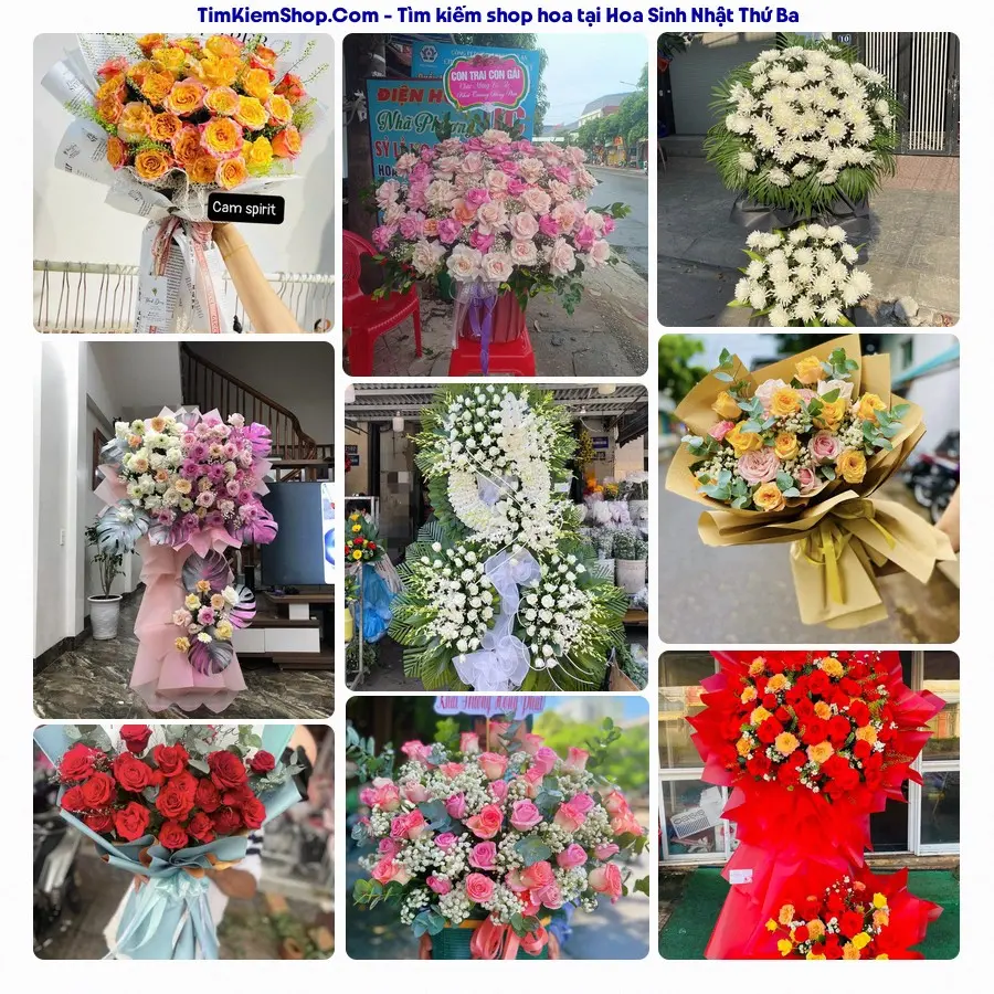Hoa Tươi Thủy Nguyễn - Hoa Tươi Thứ Ba