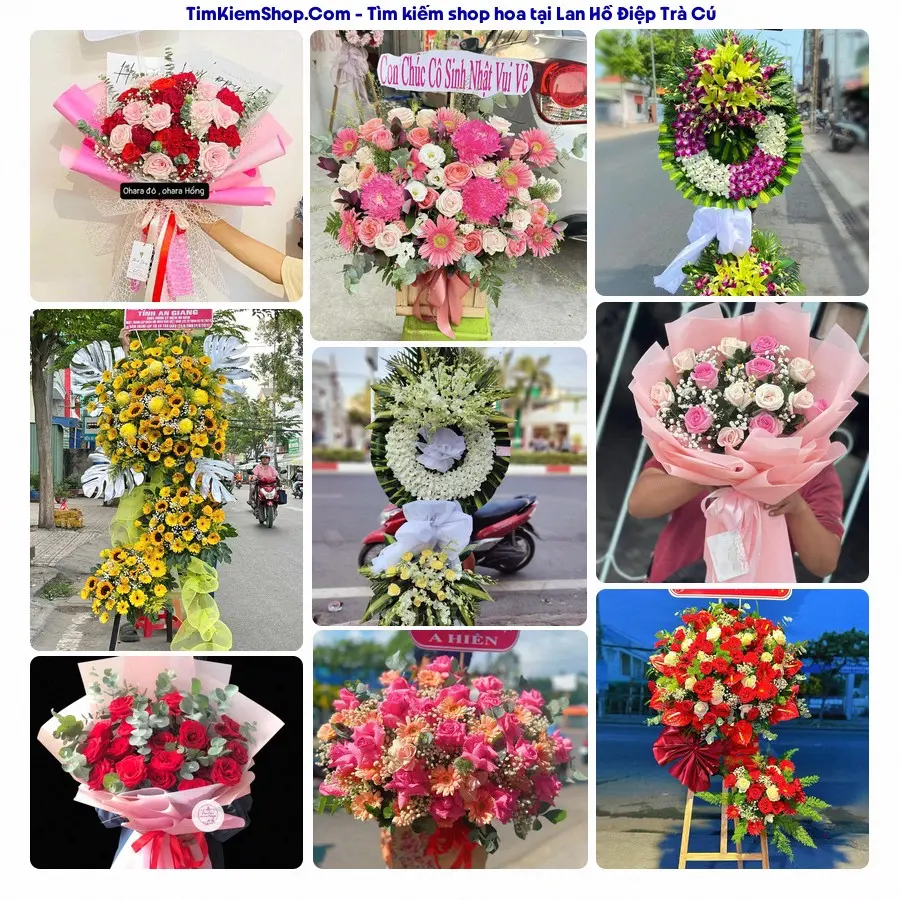 Hoa Tươi Thủy Nguyễn - Hoa Tươi Trà Cú