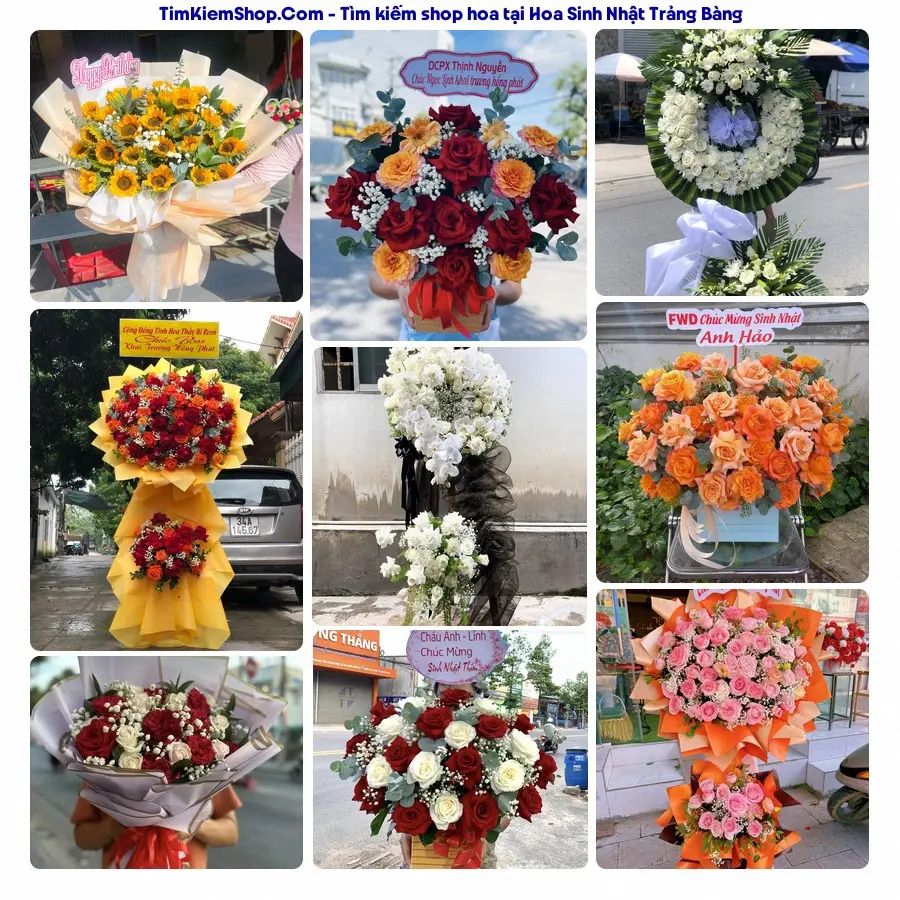Hoa Tươi Thủy Nguyễn - Hoa Tươi Trảng Bàng