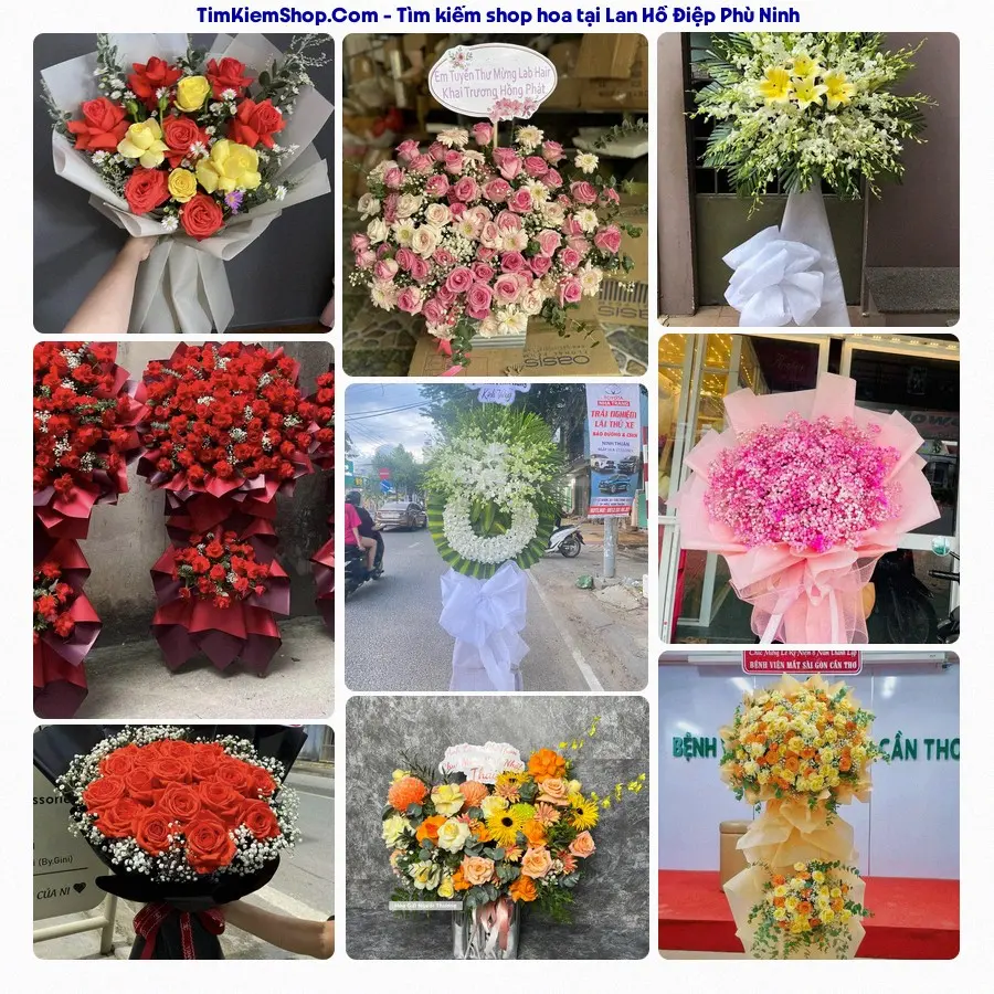 Hoa Tươi Thủy Nguyễn - Hoa Tươi Xã Phù Ninh