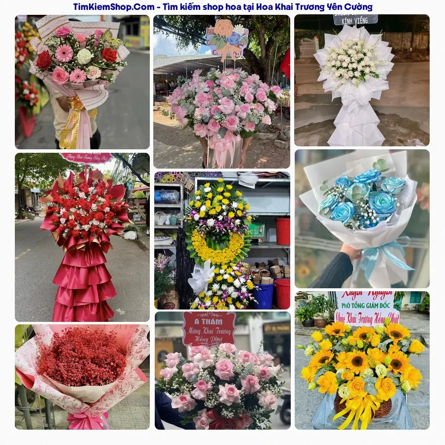 Hoa Tươi Thủy Nguyễn - Hoa Tươi Yên Cường Ninh Bình
