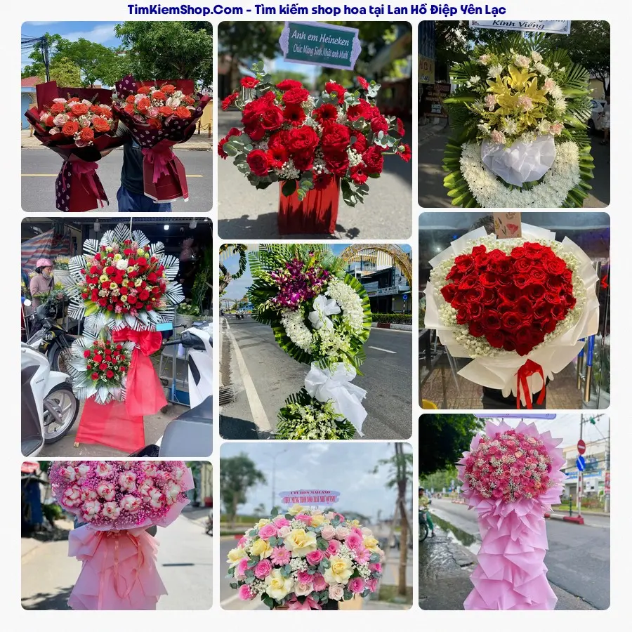 Hoa Tươi Thủy Nguyễn - Hoa Tươi Yên Lạc