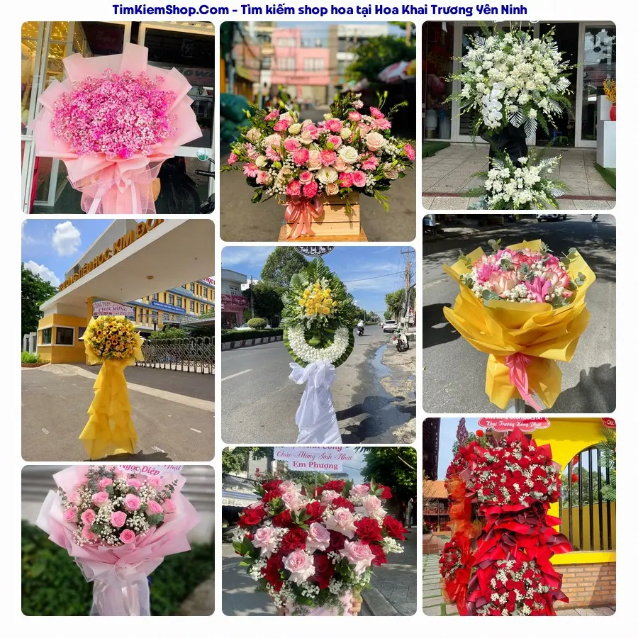 Hoa Tươi Thủy Nguyễn - Hoa Tươi Yên Ninh