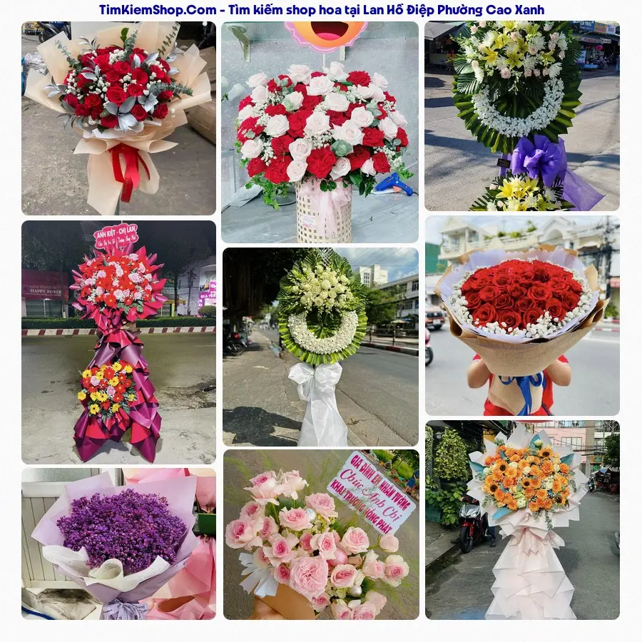 Hoa Tươi Thủy Nguyễn - Shop Hoa Phường Cao Xanh