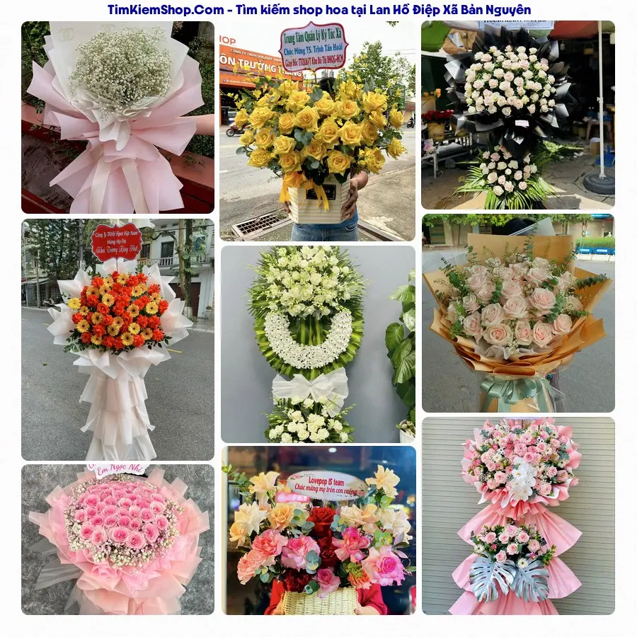 Hoa Tươi Thủy Nguyễn - Shop Hoa Xã Bản Nguyên