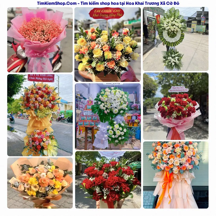 Hoa Tươi Thủy Nguyễn - Shop Hoa Xã Cờ Đỏ