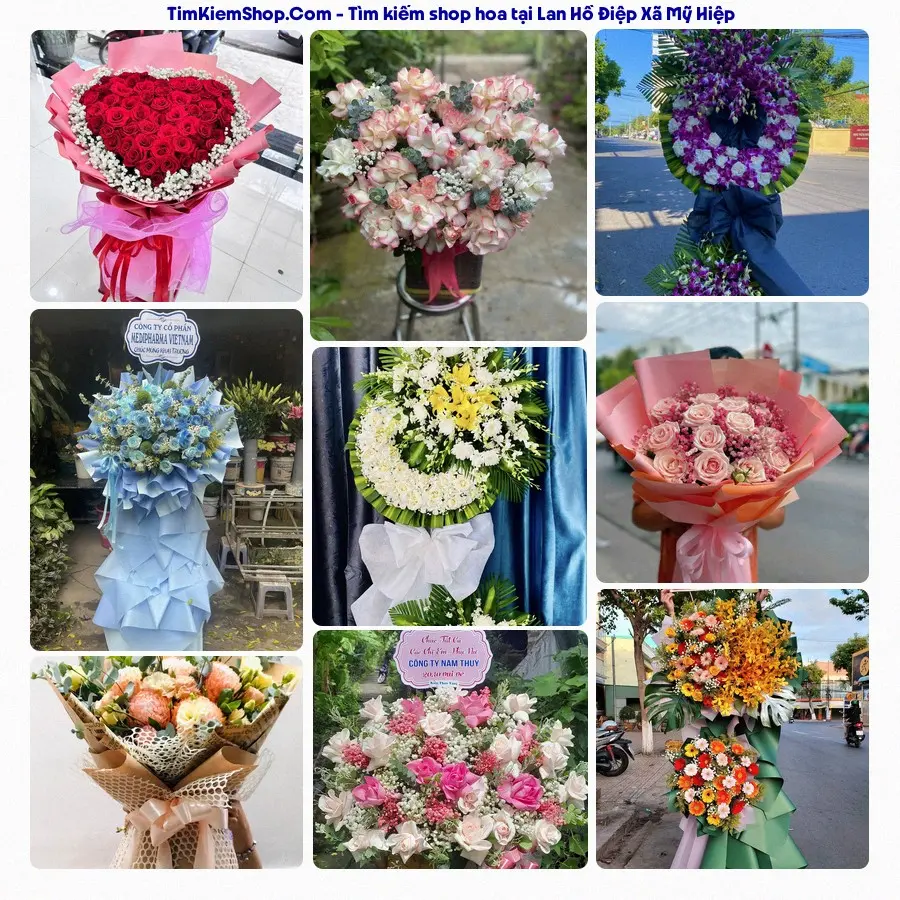 Hoa Tươi Thủy Nguyễn - Shop Hoa Xã Mỹ Hiệp