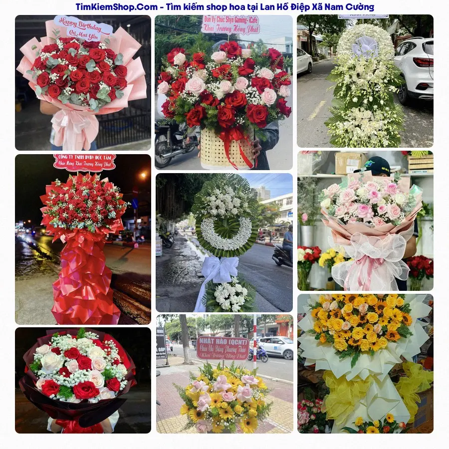 Hoa Tươi Thủy Nguyễn - Shop Hoa Xã Nam Cường