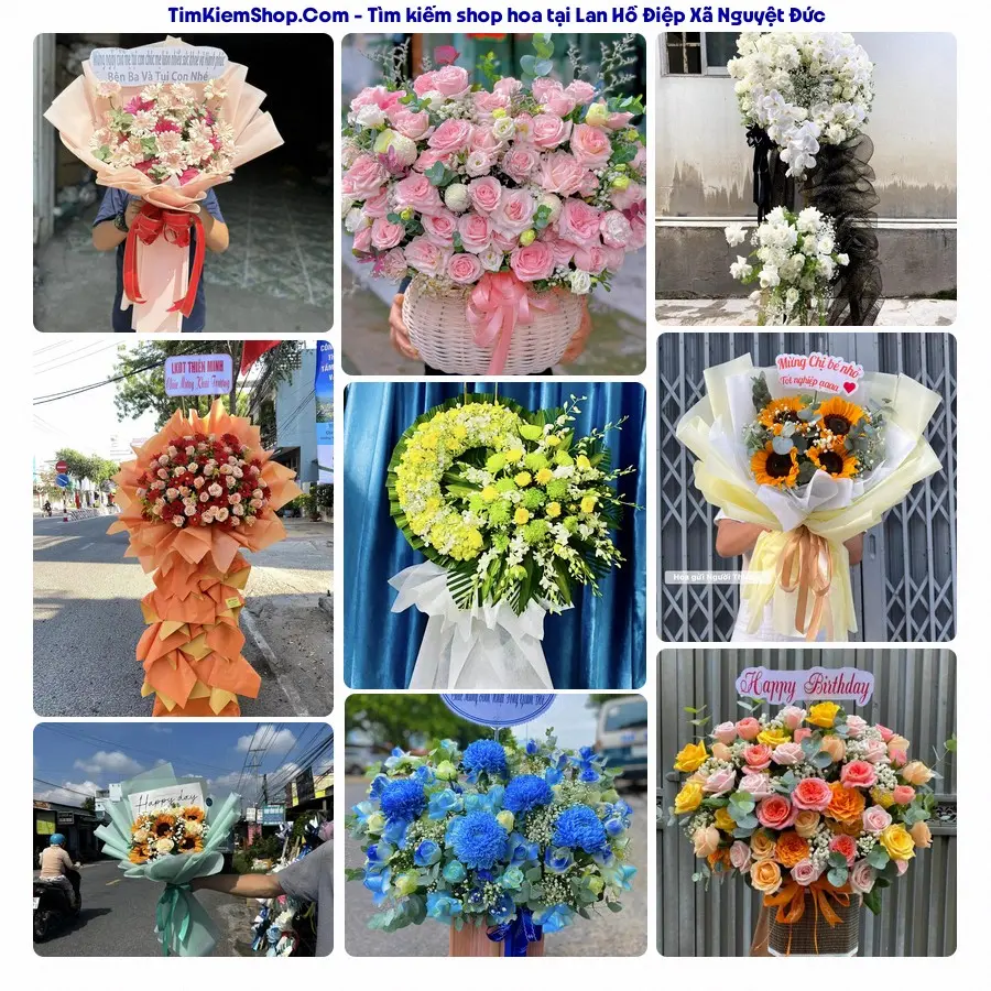 Hoa Tươi Thủy Nguyễn - Shop Hoa Xã Nguyệt Đức