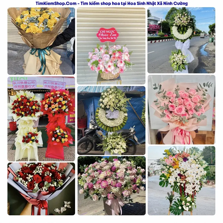 Hoa Tươi Thủy Nguyễn - Shop Hoa Xã Ninh Cường