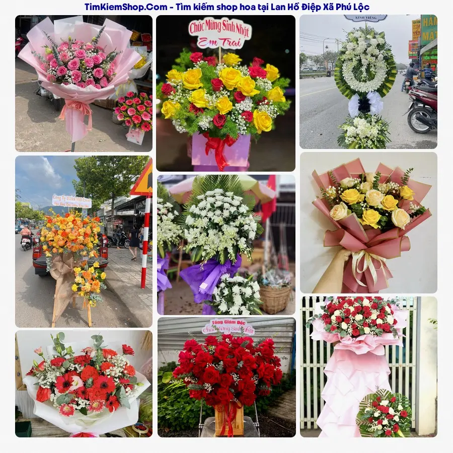 Hoa Tươi Thủy Nguyễn - Shop Hoa Xã Phú Lộc