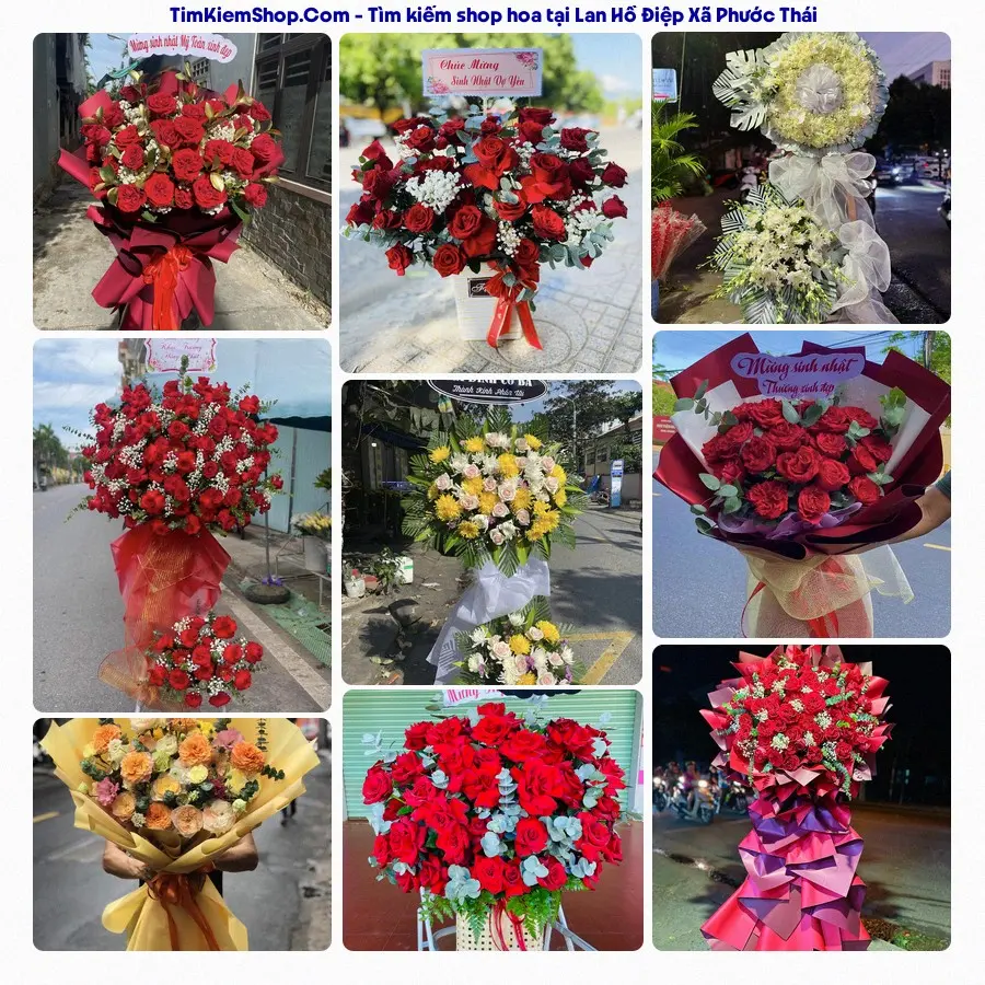 Hoa Tươi Thủy Nguyễn - Shop Hoa Xã Phước Thái