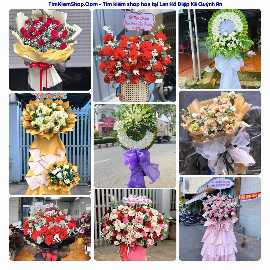 Hoa Tươi Thủy Nguyễn - Shop Hoa Xã Quỳnh An