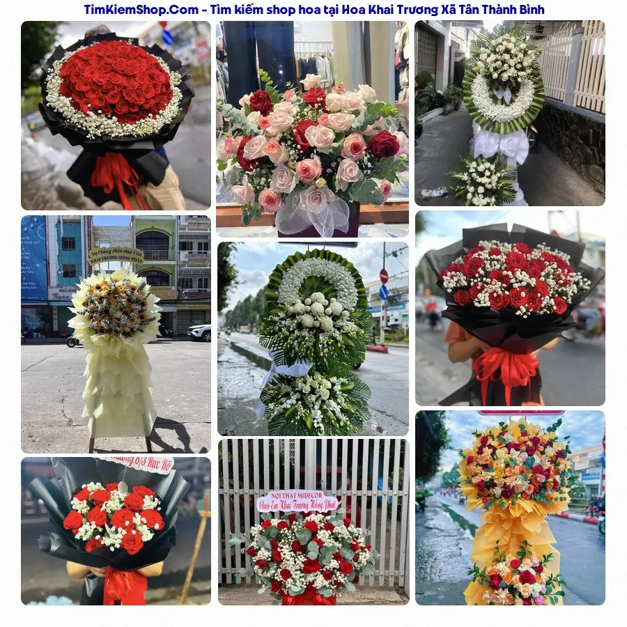 Hoa Tươi Thủy Nguyễn - Shop Hoa Xã Tân Thành Bình