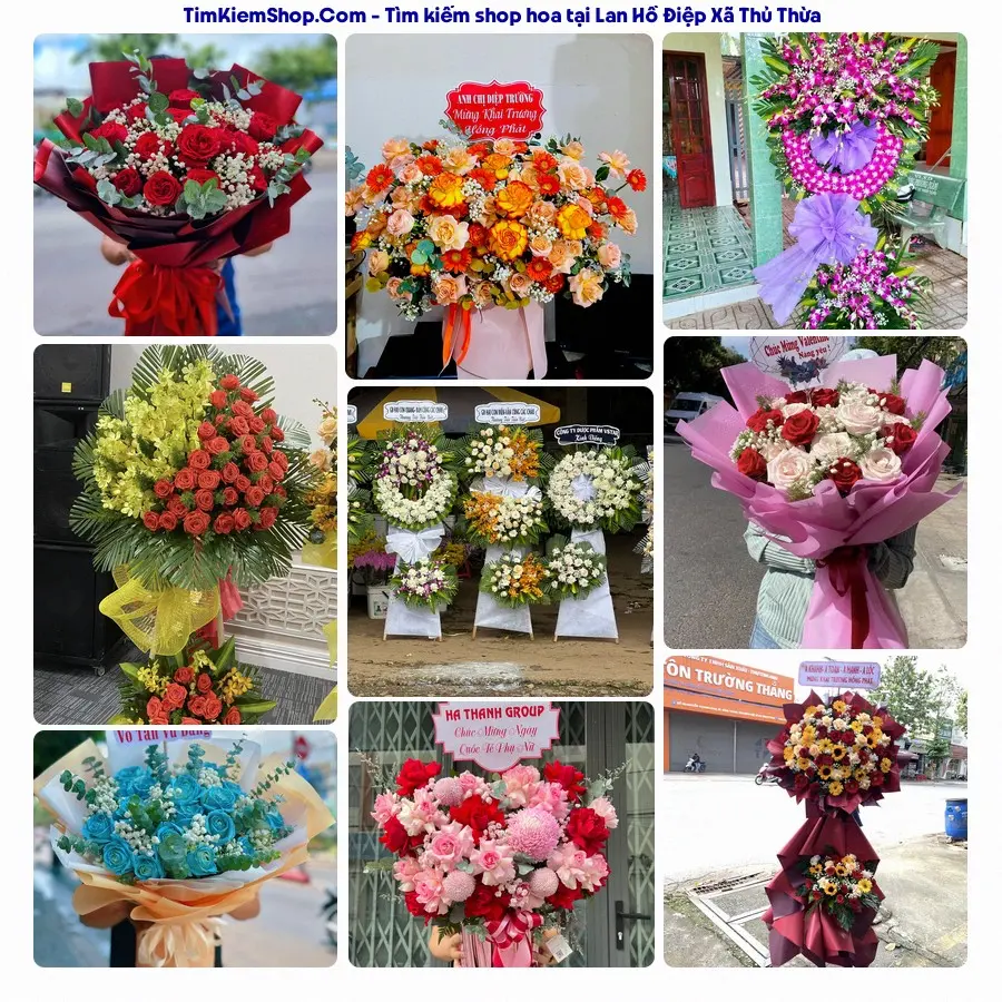 Hoa Tươi Thủy Nguyễn - Shop Hoa Xã Thủ Thừa