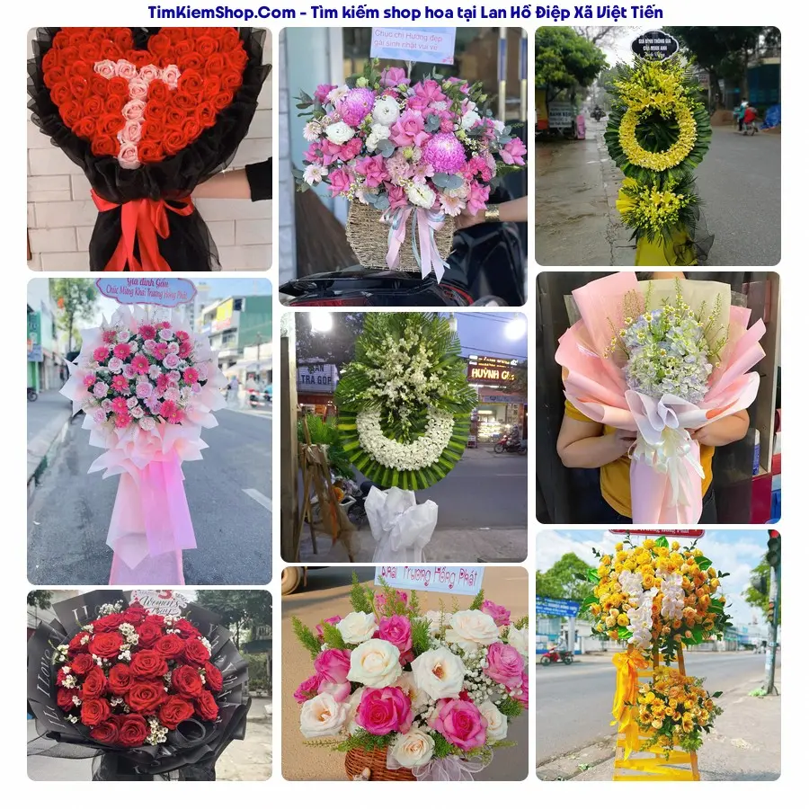 Hoa Tươi Thủy Nguyễn - Shop Hoa Xã Việt Tiến